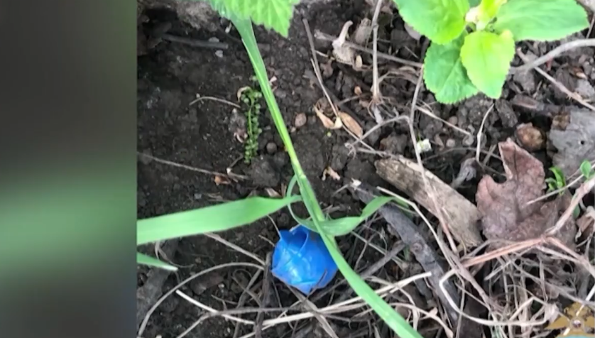 МВД Башкирии раскрыли 880 наркопреступлений за 5 месяцев