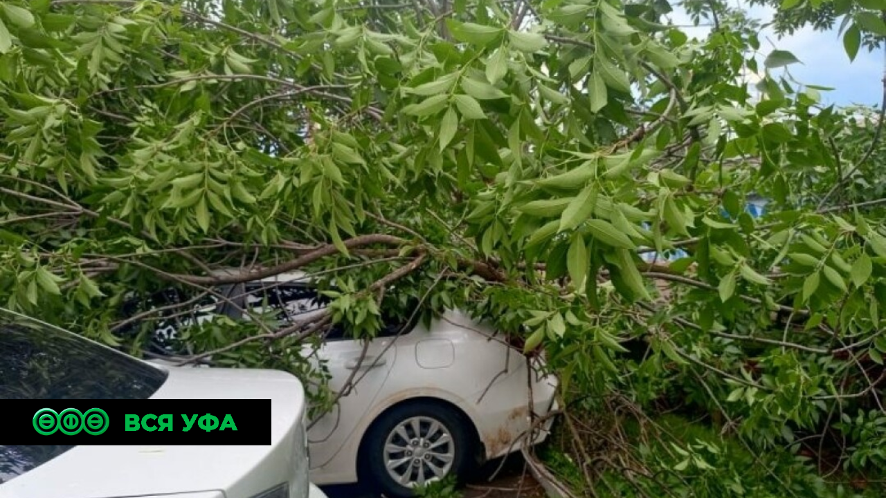 В Уфе из-за непогоды пострадало 6 автомобилей
