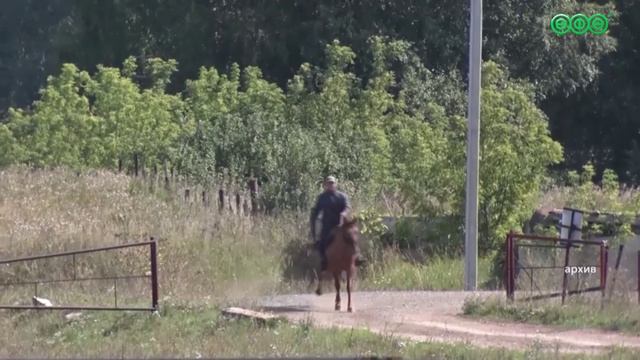 В Башкирии намолотили уже больше 2 млн тонн зерна