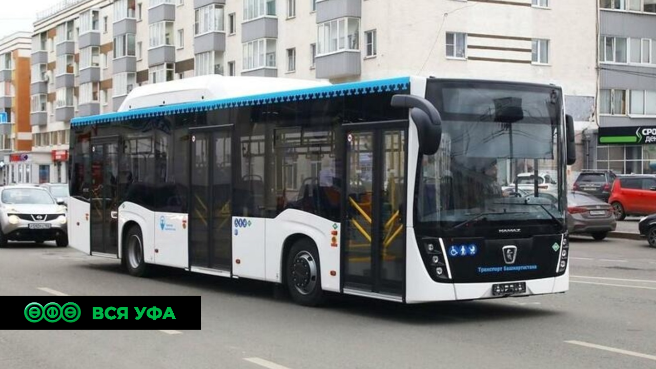 В общественном транспорте изменится стоимость проезда в автобусах