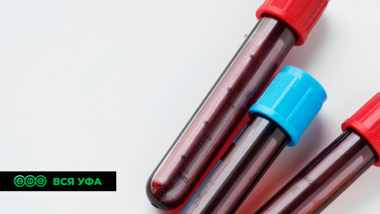 Нацпроект: При участии Беларуси в Башкортостане планируется построить завод по производству компонентов крови