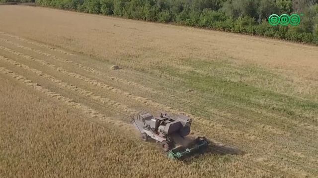 4 млн тонн зерновых и масличных культур намолотили в Башкирии за 2026 год