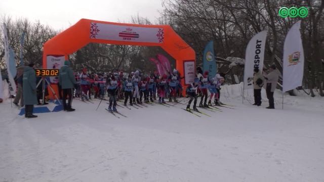 Лыжи и четыре лапы: как «Демская 30-ка» объединила разных спортсменов