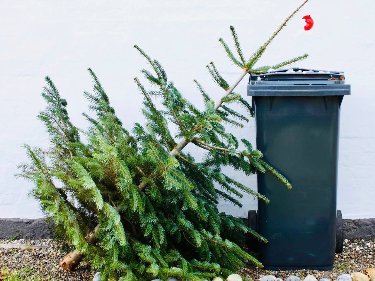 В Уфе подвели итоги ежегодной экологической акции «Ёлки в щепки»