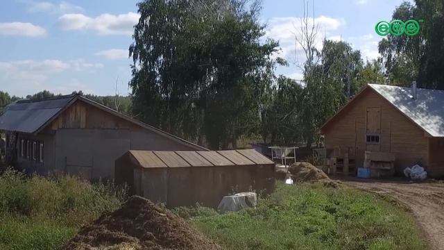 Экспорт мяса птицы из Башкирии с начала года вырос в 2,5 раза