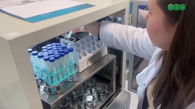Учёные Уфы заявляют о создании вакцины против сразу нескольких видов рака