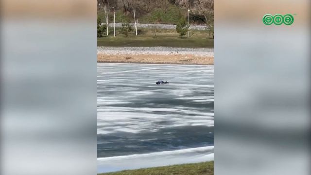Школьница провалилась под лёд, в попытке спасти уснувшего на льдине рыбака