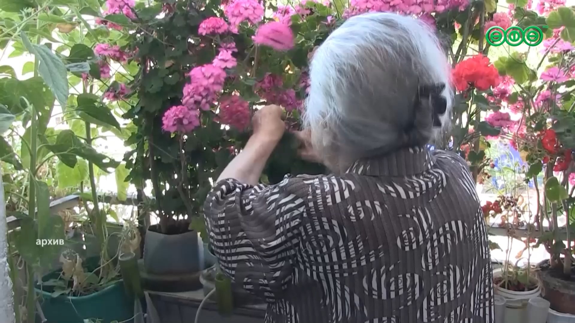 Итоги городского конкурса «Лучший балкон и лучшая дворовая цветочная клумба»