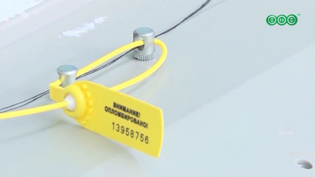 Участники СВО смогут проголосовать на выборах в сентябре