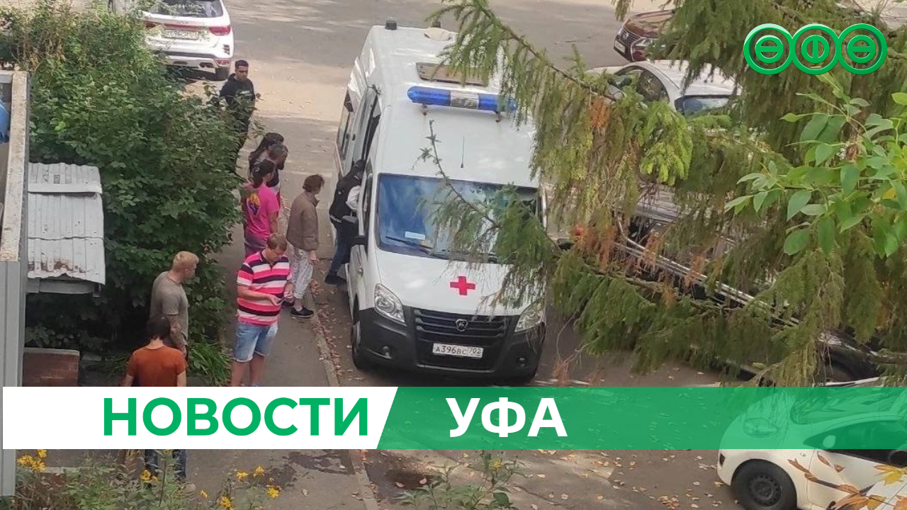 В Уфе на ребёнка напала бродячая собака