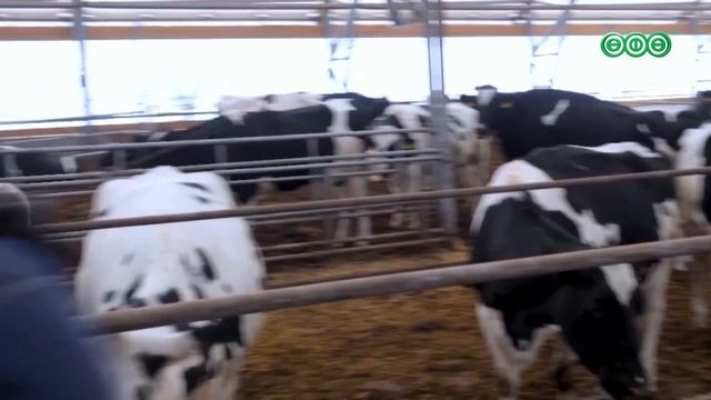 Башкирия возместит аграриям 25 млн рублей за подготовку кадров в 2026 году