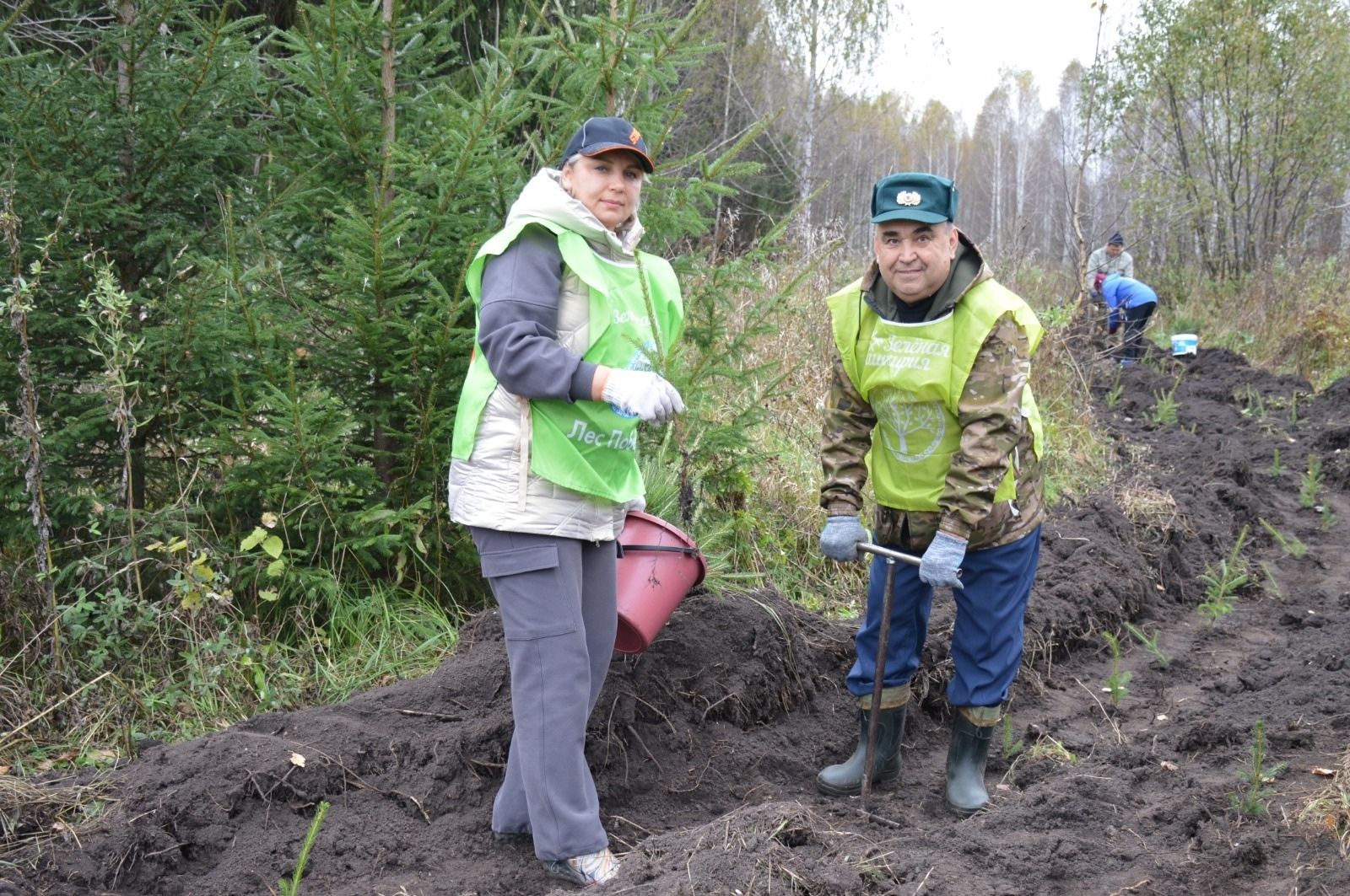 Жители Башкортостана стали самыми активными участниками акции «Сохраним лес» 