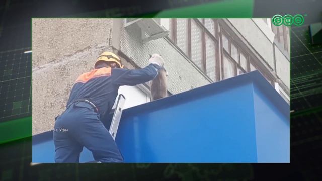Уфимские спасатели сняли кошку с крыши