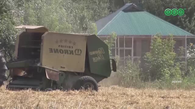 За последние 5 лет в Башкирии вырос объем экспорта сельхозпродукции