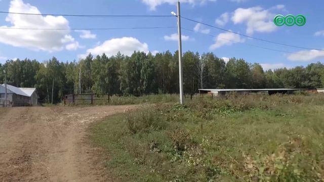 За семь лет производство мяса в республике выросло на 55 % и достигло 315 тысяч тонн