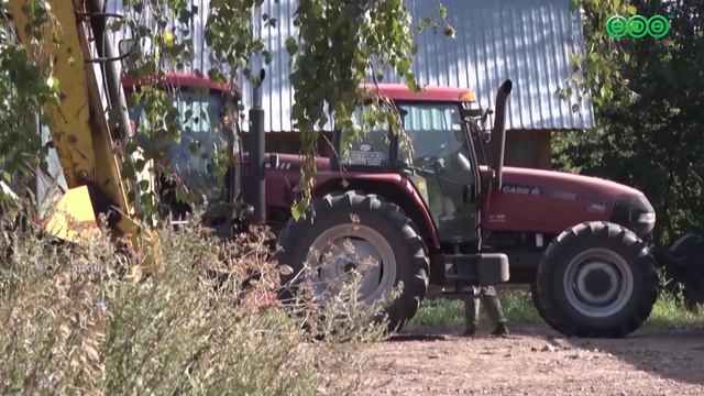 13 уфимцев подхватили мышиную лихорадку за неделю