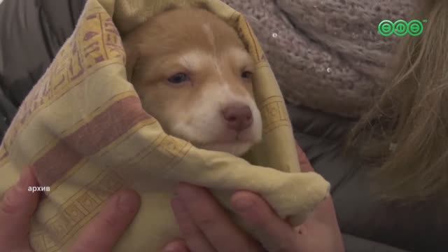 В Черниковке пройдет акция "Ищу человека"