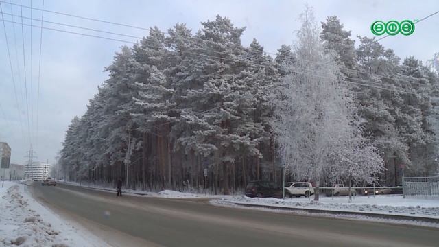 Минус 29 в Уфе: побит температурный рекорд 13-летней давности. Синоптики обещают: это последний «морозный удар» перед оттепелью