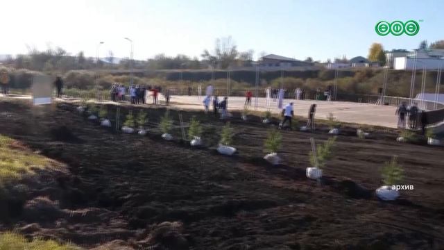 В этом году Уфу украсят более семи тысяч новых деревьев и кустарников