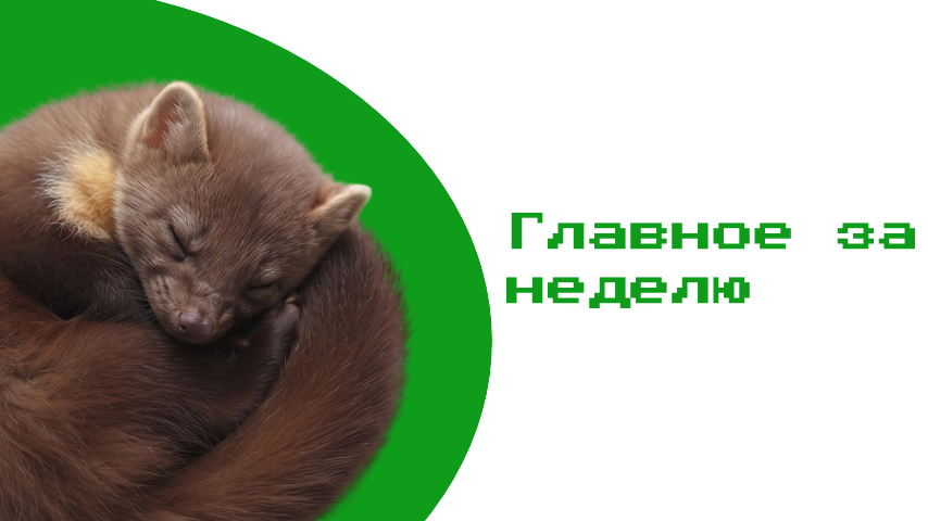 Башкортостан: итоги недели с 24 по 30 августа 