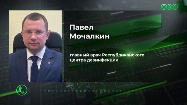 Скверы и парки Уфы обработают от комаров Скверы и парки Уфы обработают от комаров