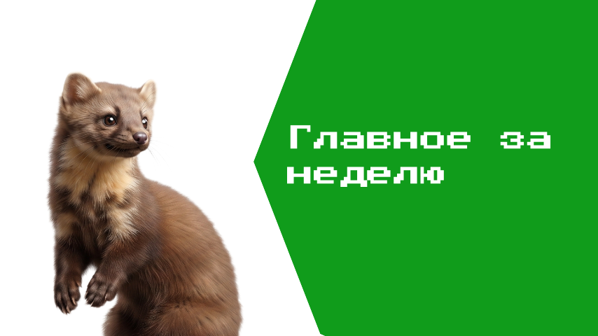 Башкортостан: итоги недели с 31 августа по 36 сентября
