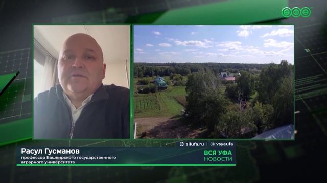 Жителей Башкирии обяжут уничтожать на своих участках опасные растения