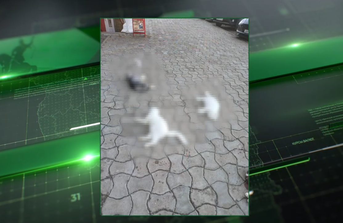 В Уфе жителей дома на Комсомольской потрясло шокирующее зрелище 