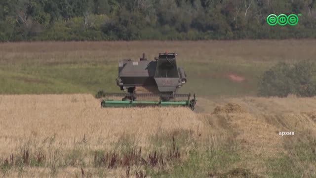 Площади под озимые культуры в Башкирии планируют расширить на 30 %